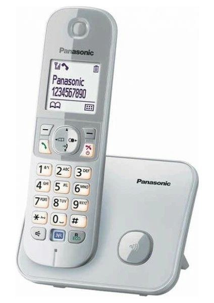 Panasonic KX TG6811 Dect Telefon, Gri